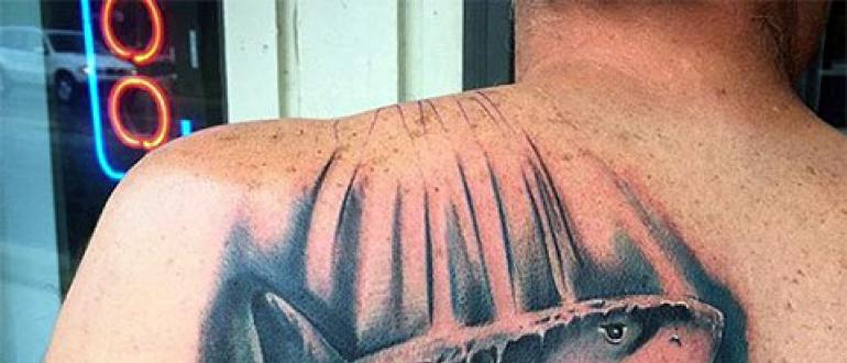 Значение татуировки акула
